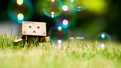 Danboard grass bubbles