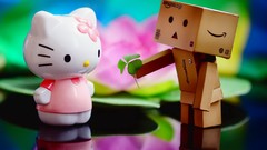 Danboard hello kitty