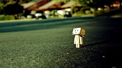 Danboard macro depth of