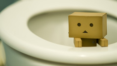 Danboard toilets