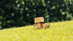 Danboard toys (children)
