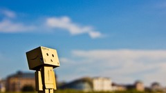 Danboard toys (children)