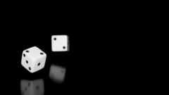 Dancing dice anyone Got