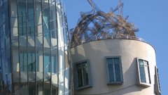 Dancing House Prague architecture