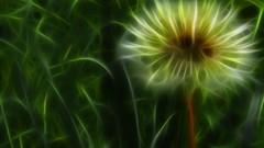 Dandelions Fractalius