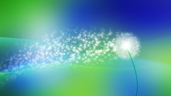 Dandelions Spawn rainbows minimalistic