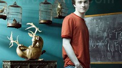 Daniel Radcliffe harry potter