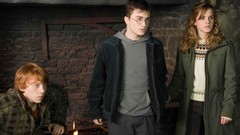Daniel Radcliffe Harry Potter and the Order of the Phoenix 