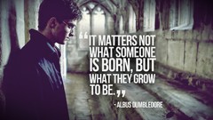 Daniel Radcliffe harry potter philosophy Quotes Albus Dumbledore