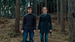 Daniel Radcliffe hermione granger
