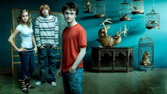 Daniel Radcliffe rupert grint emma watson harry potter hermione 