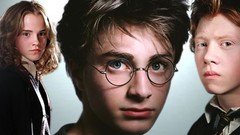 Daniel Radcliffe rupert grint emma watson harry potter hermione 