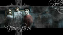 Daniel Radcliffe rupert grint emma watson harry potter hermione 