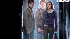 Daniel Radcliffe rupert grint emma watson harry potter hermione 