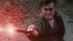 Daniel Radcliffe wand harry potter harry potter and the deathly 