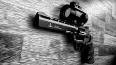 Danny Dan Wesson Firearms