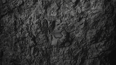 Dark apple inc rocks