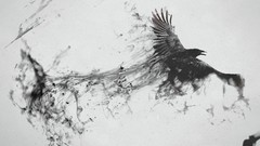 Dark black and white Birds Ravens digital art