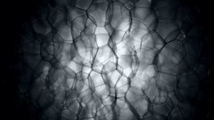 Dark cells minimalistic