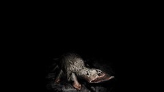 Dark creatures creepy