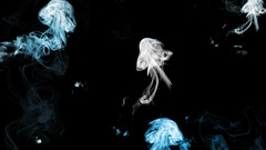 Dark dump thread can will going have