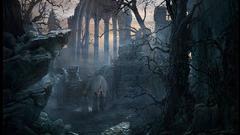 Dark evil The woods high Resolution