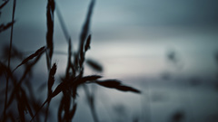 Dark Good thread This really bumping because