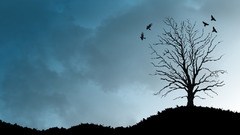 Dark lonely nature clouds
