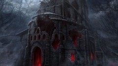 Dark mysterious forests cathedrals