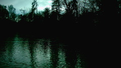 Dark nature Gothic Trees