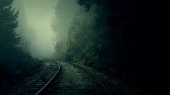 dark nature mist railway forest Trees