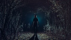 Dark paths shadows forests