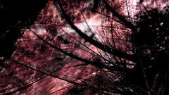 Dark red abstract lines line art