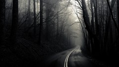 Dark roads mist forests