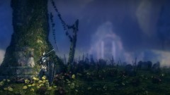 Dark souls video games