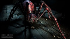 Dark spiders insects horror creatures creepy fantasy art