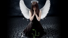 Dark wings Fairies angels Photo manipulation digital art