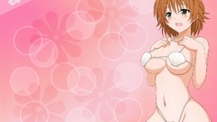 Darkness Anime anime girls bare shoulders to-love-ru bikini