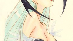 Darkstalkers video games Succubus