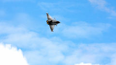 Dassault Aircraft military rafale