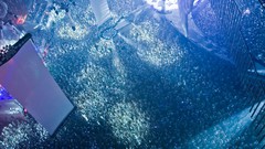 David guetta party Sensation White