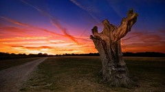 Dawn fields skyscapes