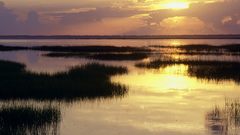 Dawn Florida peninsula breaking better joseph