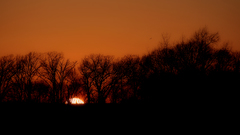 Day The end anachronist