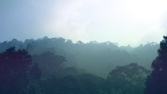 Daybreak ether deviantart com