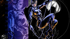 Dc comics Catwoman