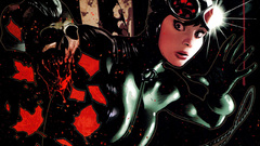 Dc comics Catwoman Adam