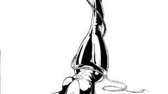 Dc comics Catwoman selina