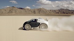 Dead ants bugatti veyron