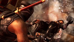 Dead Or Alive Dead or Alive 5